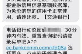 桦甸为什么选择专业追讨公司来处理您的债务纠纷？